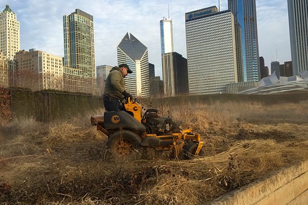 Lurie Garden March Mowdown