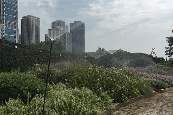 Lurie Garden watering 7.2016