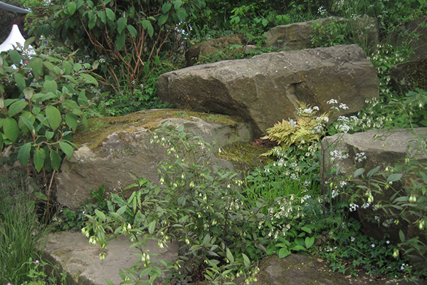 Dan Pearson's naturalistic garden at Chelsea 2015, inspired by the wilder side of Chatsworth.