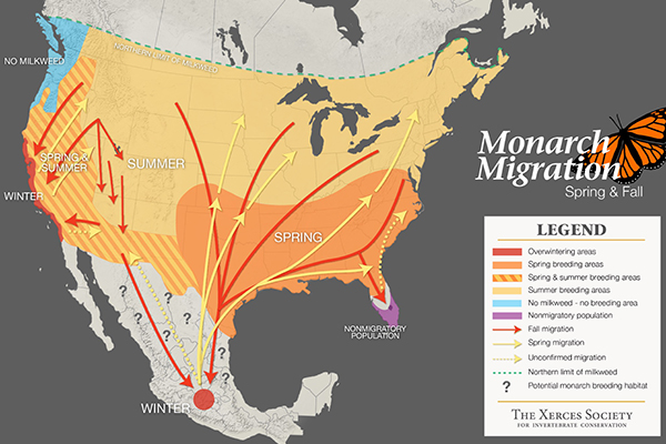 Monarch Migratory map by Xerces Society for Invertebrates Conservation.